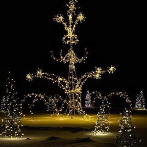 Meet your Posher, Tamara